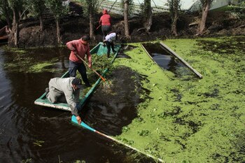FOTO: ROGELIO MORALES /CUARTOSCURO