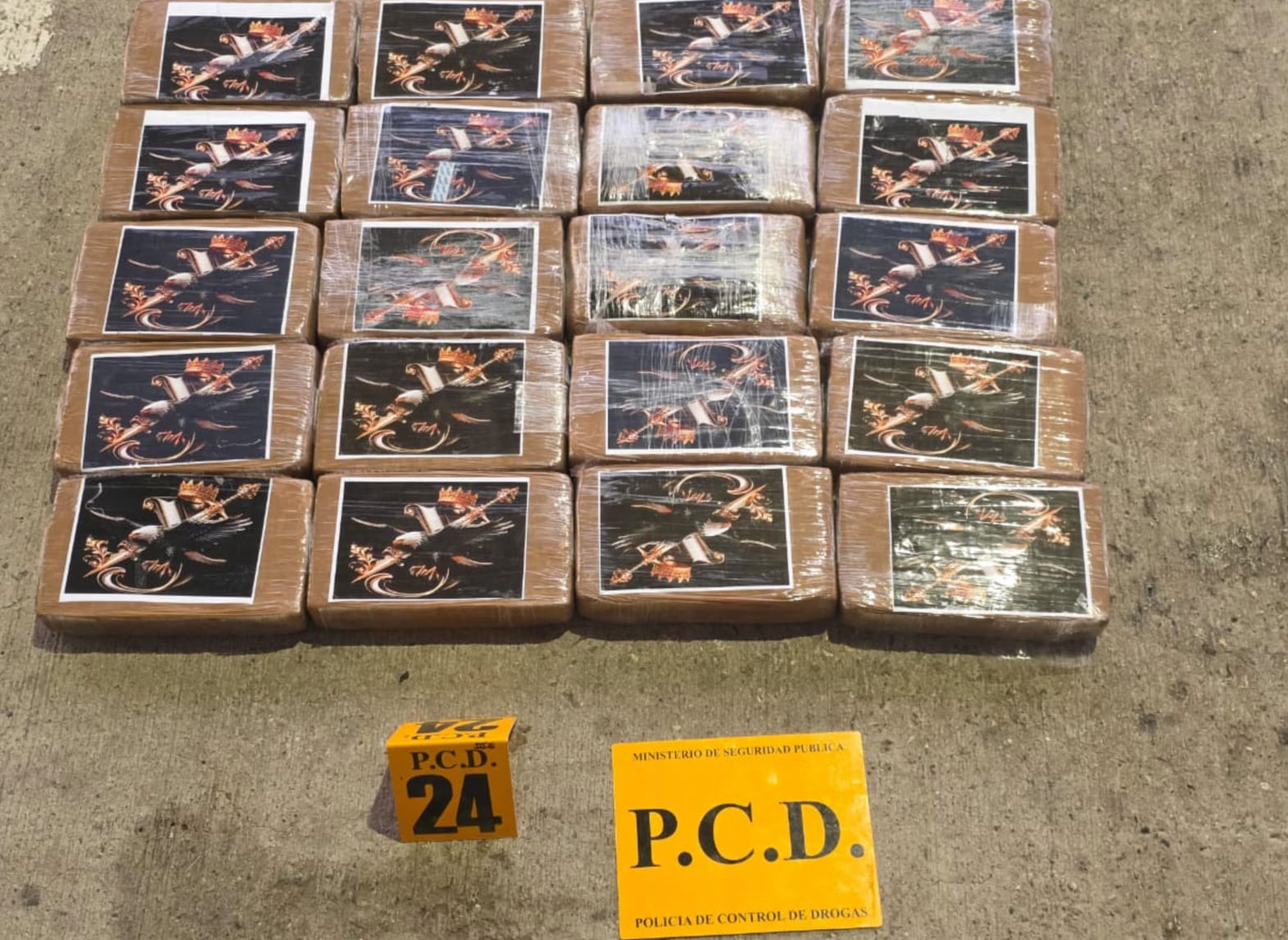 Armas de fuego y sustancias ilícitas fueron localizadas en las cercanías de una vivienda en Uvita, donde presuntamente se almacenaban recursos vinculados con el narcotráfico. Crédito: MSP