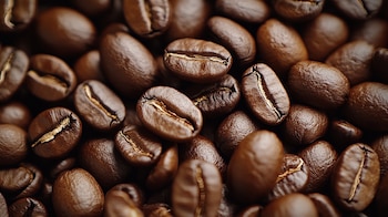 (Imagen Ilustrativa Infobae)