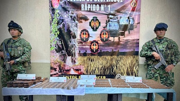 Ejército Nacional incauta más de