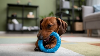 La investigación publicada en PeerJ