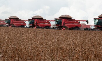 En Brasil temen que el