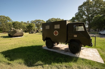 Los Comandos Anfibios son un