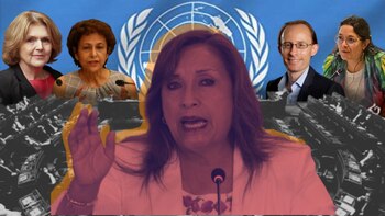 Cuatro Relatores Especiales de la