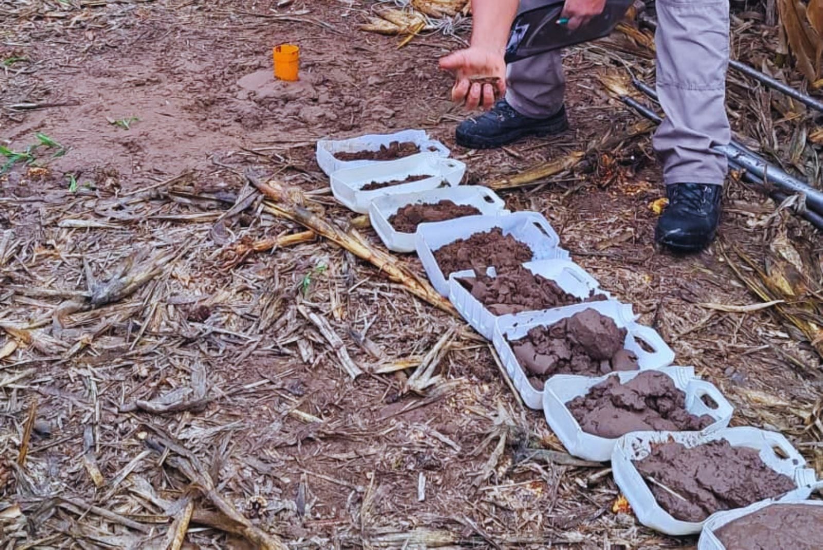 Con reservas altas y napas en ascenso, el INTA propone ajustar el manejo para convertir más agua disponible en mejores resultados productivos agrícolas (inta)