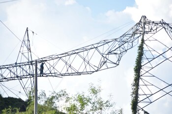 CFE reporta avances tras huracán