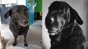 ¿No rentarle a personas con