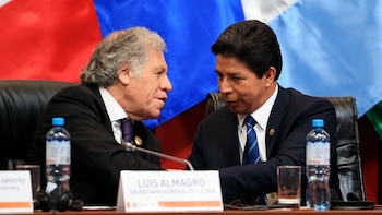 Presidente Pedro Castillo en la