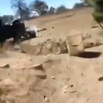 Supuestamente un grupo de sicarios