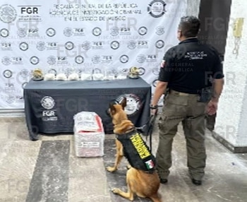 Aseguran metanfetamina en paquete en Jalisco