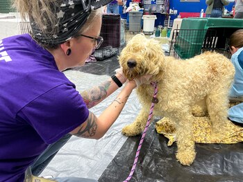 El equipo médico de la