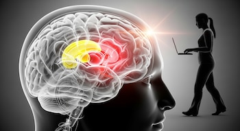 Render 3D de un cerebro humano transparente con los ganglios basales resaltados en rojo y amarillo, y la silueta de una persona tecleando un portátil al fondo.