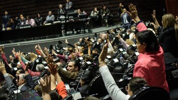 Qué plantea la iniciativa de