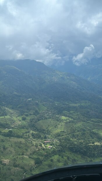 De acuerdo con el director