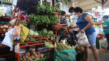 La papa canchán pastó de