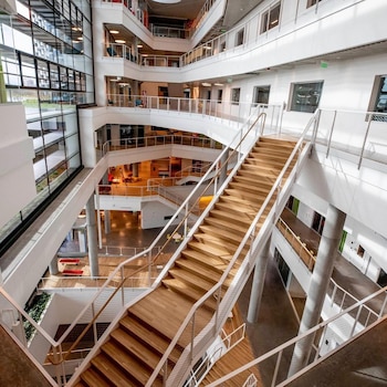 Foto: Instagram/@harvard