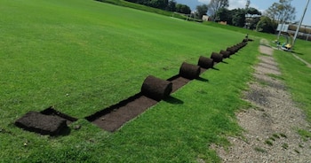 La gramilla será reutilizada en canchas comunitarias del Distrito. - crédito Sencia