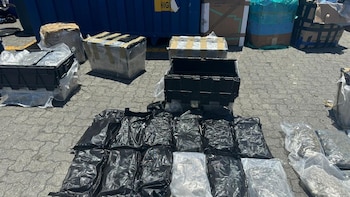 Decomisan 133 paquetes de presunta marihuana en el Puerto de Haina, en República Dominicana
