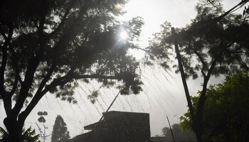 El pronóstico del estado del tiempo en Monterrey (Imagen ilustrativa Infobae)