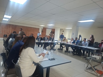 Las autoridades de energía reconocen el impacto negativo que la ampliación del plazo de pago tuvo en el flujo de caja y liquidez de la ENEE.