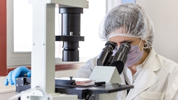 La Academia Nacional de Ciencias alertó por la “fuga de cerebros” y cuestionó las políticas del Gobierno para el sector