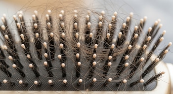 Un cepillo de pelo negro con cerdas de punta blanca y mechones de cabello marrón entrelazados entre las cerdas en primer plano.