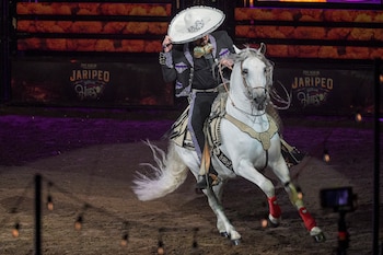 El debate sobre los jaripeos y el bienestar animal continúa vigente tras el incidente en Morelos. (Foto AP/Damian Dovarganes)