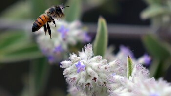 Cerraron una estación de Transmilenio