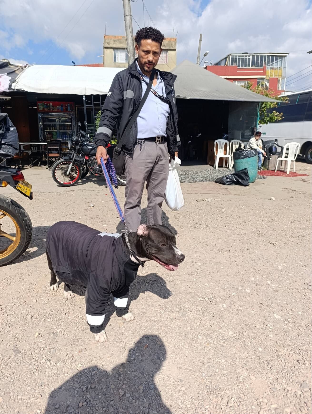 Las normas del Sitp permiten el ingreso de perros de apoyo emocional, siempre que cuenten con carné de vacunación vigente y cumplan las condiciones de seguridad - crédito @camiilalarcon / TikTok