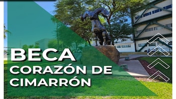 Beca Corazón de Cimarrón: ¿Quiénes