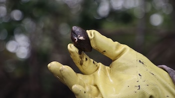 Sumérgete en un rincón de