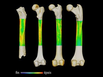 La controversia se intensificó al