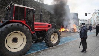 Ganaderos gallegos reciben "positivamente" la