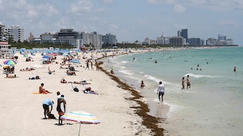 Una playa de Florida fue elegida entre las 20 mejores de América: este es el puesto que ocupa en el ranking de 2026