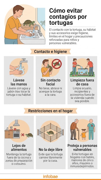 Ilustraciones con seis recomendaciones de higiene sobre la convivencia con tortugas, acompañadas por texto descriptivo y el logotipo de Infobae.