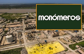 El proceso había comenzado de oficio en marzo de 2025, cuando el organismo técnico concluyó que la situación financiera de la compañía exigía una intervención - crédito Monomeros