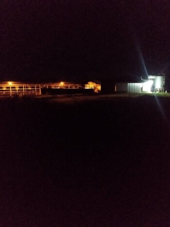 Una imagen nocturna en el