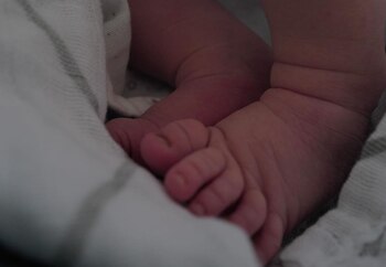 Los actores se mudaron a