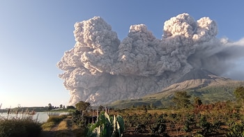 Las impresionantes imágenes de la