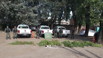 Los allanamientos por casos de