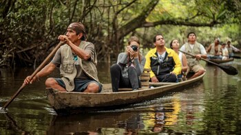 El estudio resalta además un
