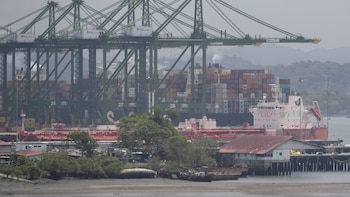 Supremo declara inconstitucional ley que