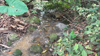 La Corporación Autónoma Regional de Cundinamarca ordenó el cese inmediato de vertimientos tras detectar residuos contaminantes en una zona de conservación ambiental - crédito CAR Cundinamarca / X