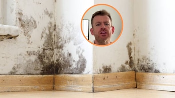 Valentín Naranjo, experto en humedades: