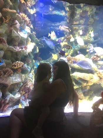 La madre está desesperada por