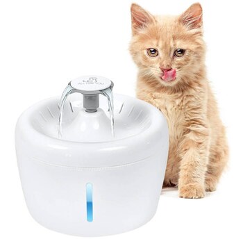 Artículos para gato en Amazon