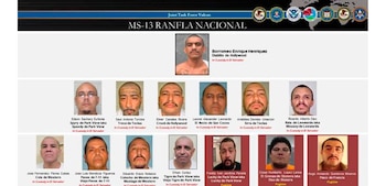 MS13. Ficha de los miembros