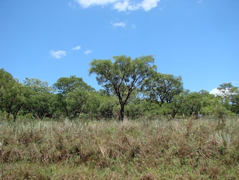La presión sobre los ecosistemas