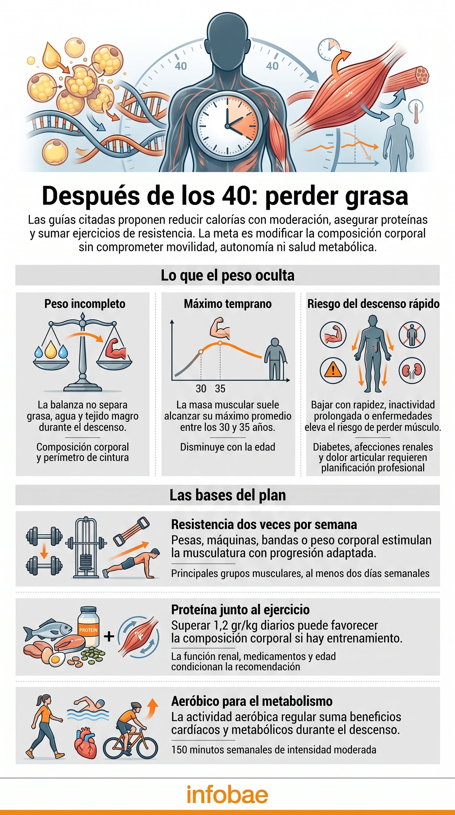 La balanza no diferencia entre la grasa, el agua y el tejido magro. (Imagen Ilustrativa Infobae)