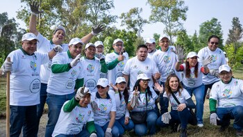 Realizan jornada masiva de reforestación